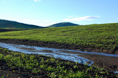 МИНИЙ ТӨРСӨН НУТАГ МОНГОЛЫН САЙХАН ОРОН..