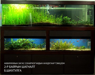 Аквариумын бичлэг<br />https://www.facebook.com/photo.php?v=289856381180479