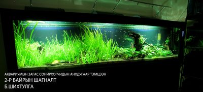 Аквариумын бичлэг<br />https://www.facebook.com/photo.php?v=289856381180479